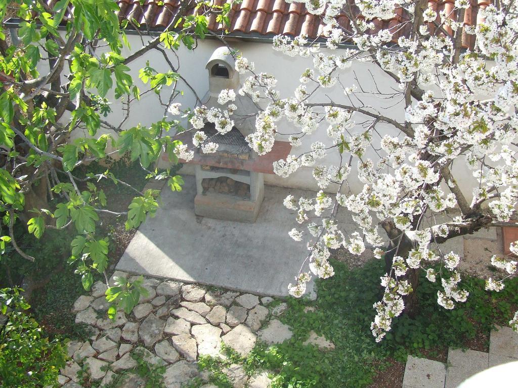 Apartment Dalmatia Zadar